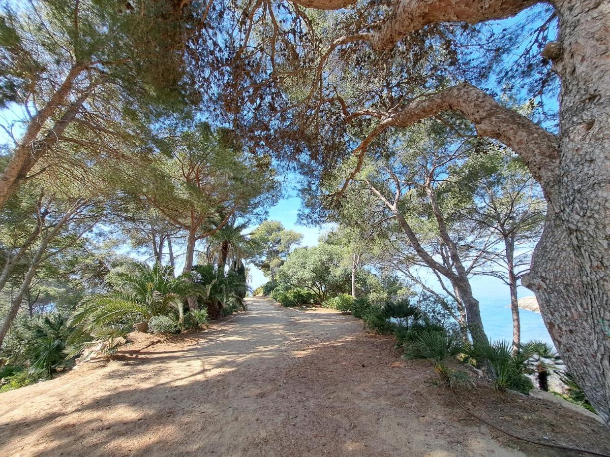 Gran Apartamento Vistas Mar ซาลอว์ ภายนอก รูปภาพ